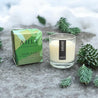 GARLAND clear glass candle, pine needle and eucalyptus fragrance soy wax