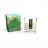 GARLAND clear glass candle, pine needle and eucalyptus fragrance soy wax